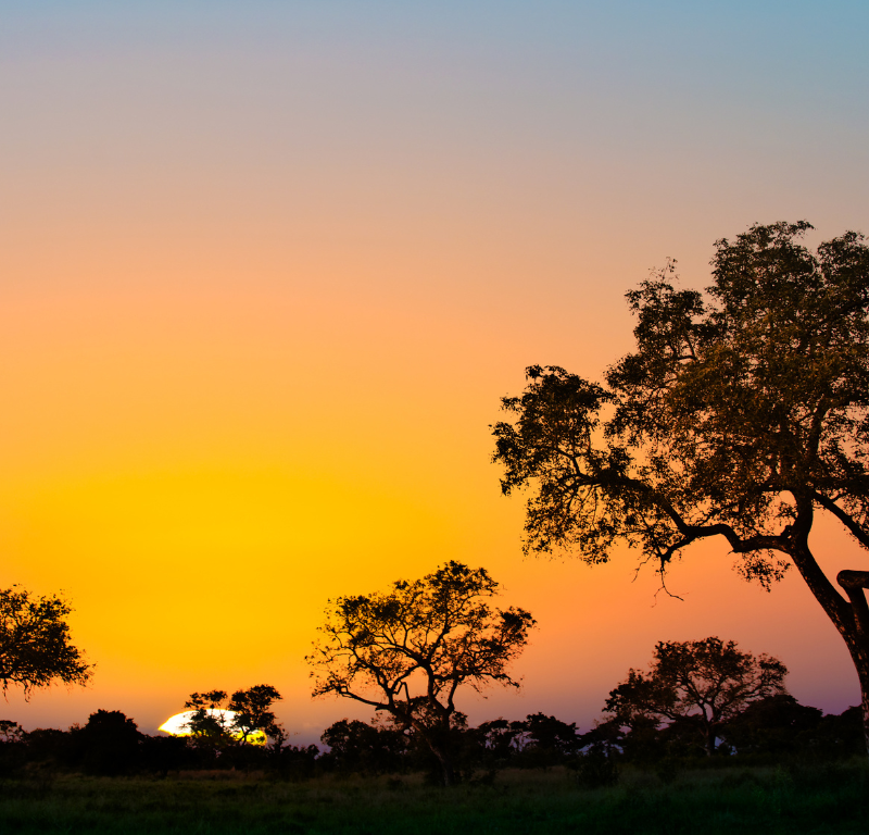 Buoni motivi per visitare il Sud Africa