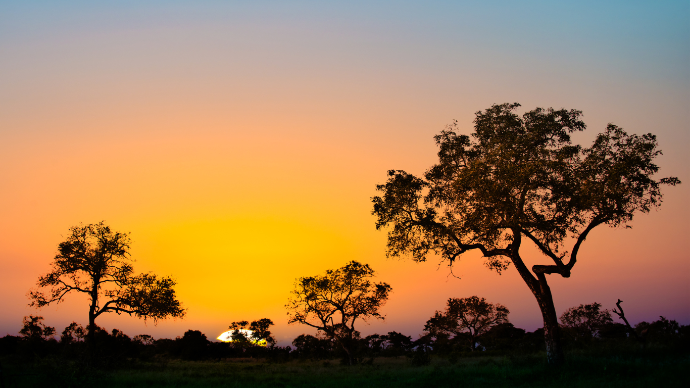 Buoni motivi per visitare il Sud Africa