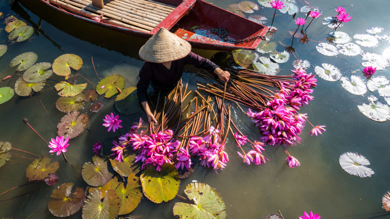 Viaggio in Vietnam e Cambogia: un Oriente da fiaba