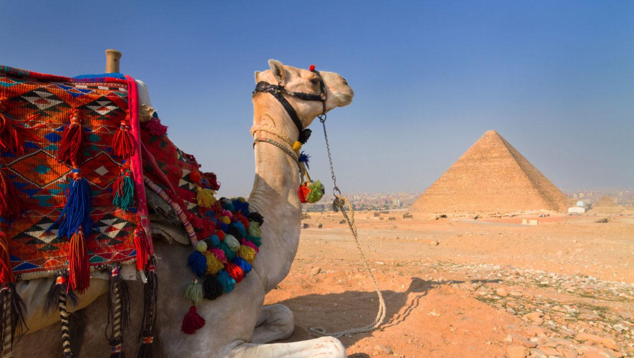Viaggio in Egitto con fra Giulio Michelini