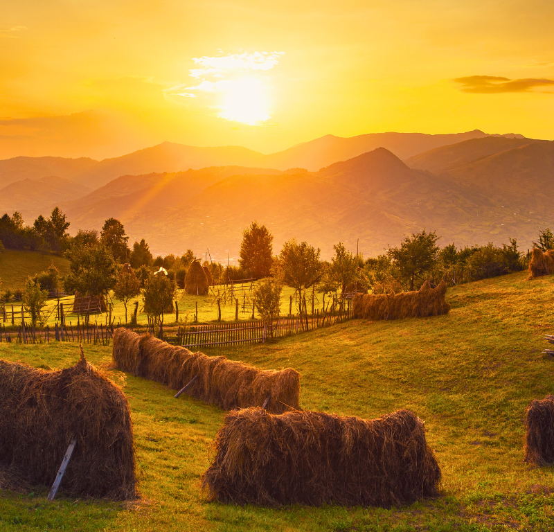 Le meraviglie della Romania