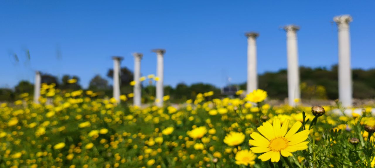 Viaggio in Turchia e Cipro nord: tra oriente e occidente