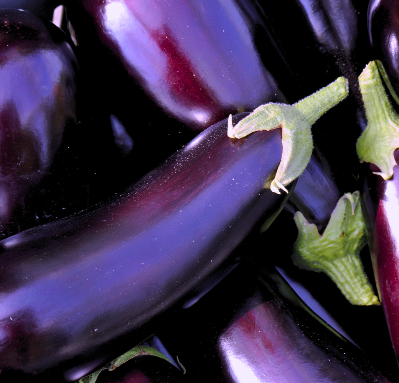 Cucina tra Nord Africa e Mediterraneo