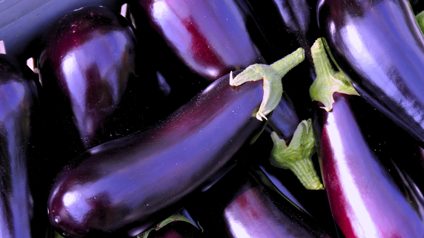 Cucina tra Nord Africa e Mediterraneo