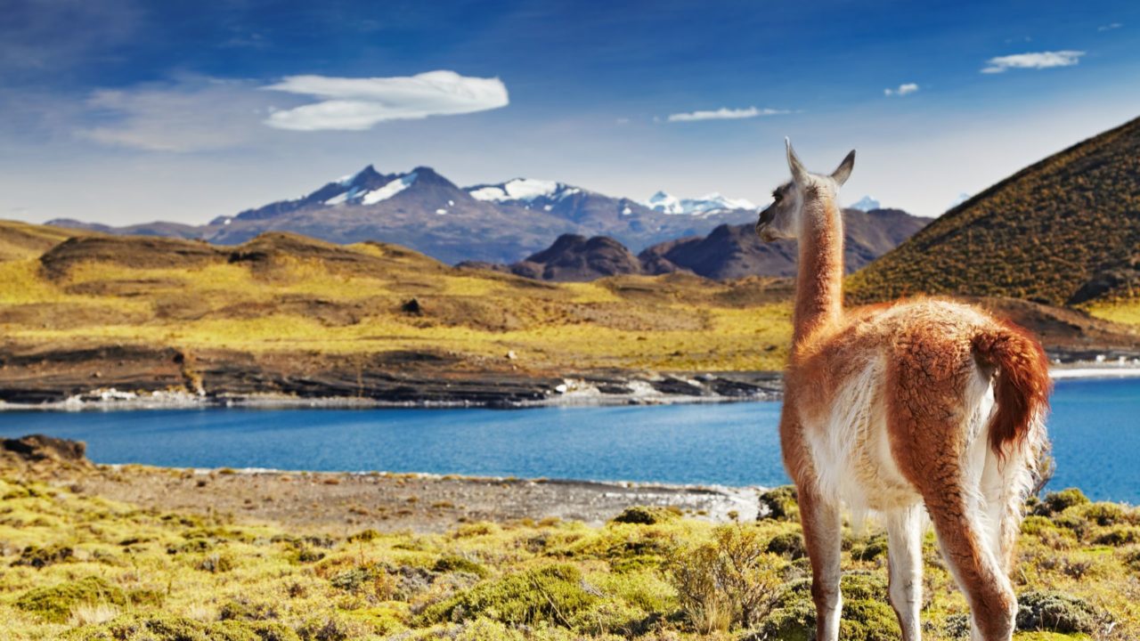 Viaggio in Cile e Isola di Pasqua: tanti viaggi in uno