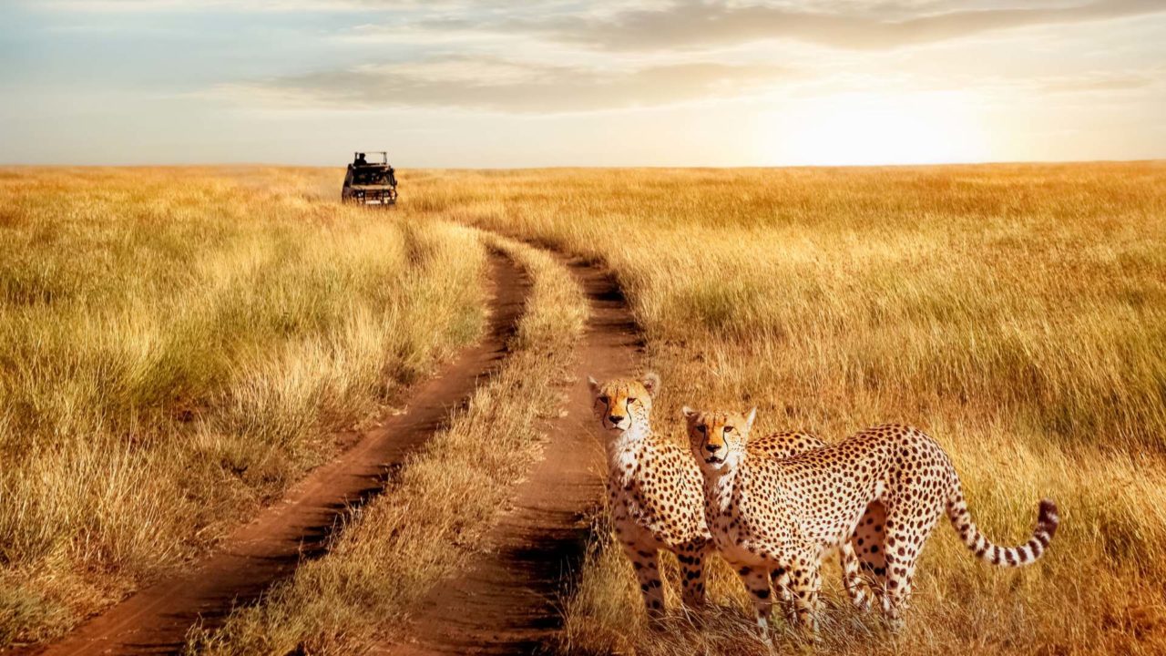 Viaggio in Tanzania: semplicemente Africa tra mare e safari