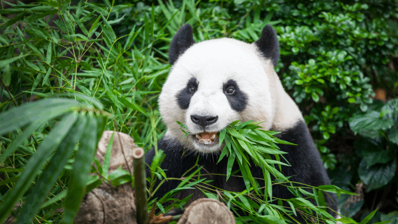 Viaggio in Cina: itinerario tra classico, natura ed esperienze