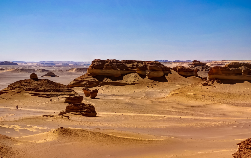 Wadi Al-Hitan, la valle delle balene