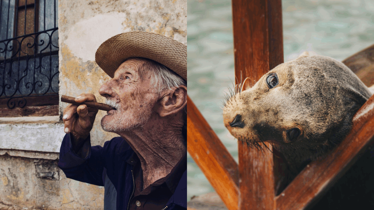 Ecuador e Galapagos: un viaggio nel tempo in un Mondo in miniatura