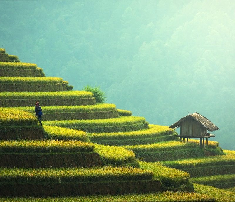 Laos e Cambogia: Un viaggio tra natura, cultura e meraviglia