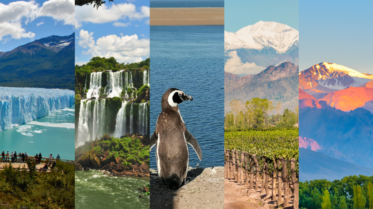Argentina: Salta e la Penisola di Valdes fino alla Patagonia più Meridionale e risalire alle cascate di Iguazù