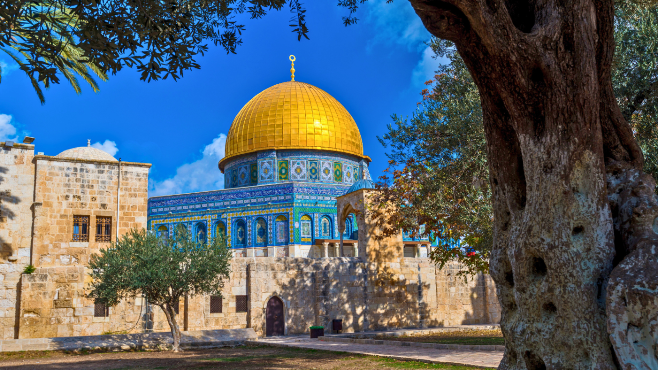 Ritorno in Terrasanta: un pellegrinaggio tra l’Antico e il Nuovo Testamento