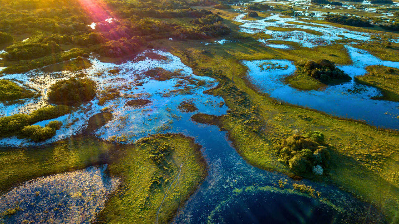 L’autentico Brasile: Amazzonia e Pantanal