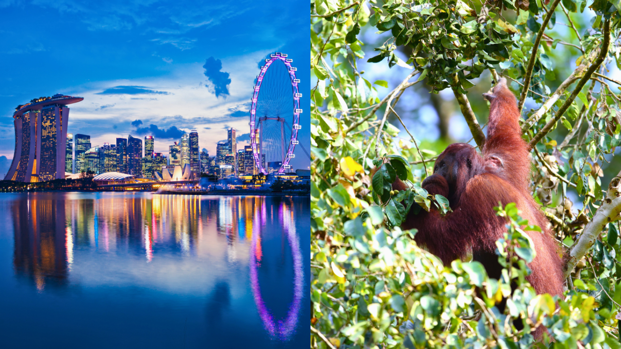Malesia con Borneo e Singapore: dove la giungla incontra il futuro