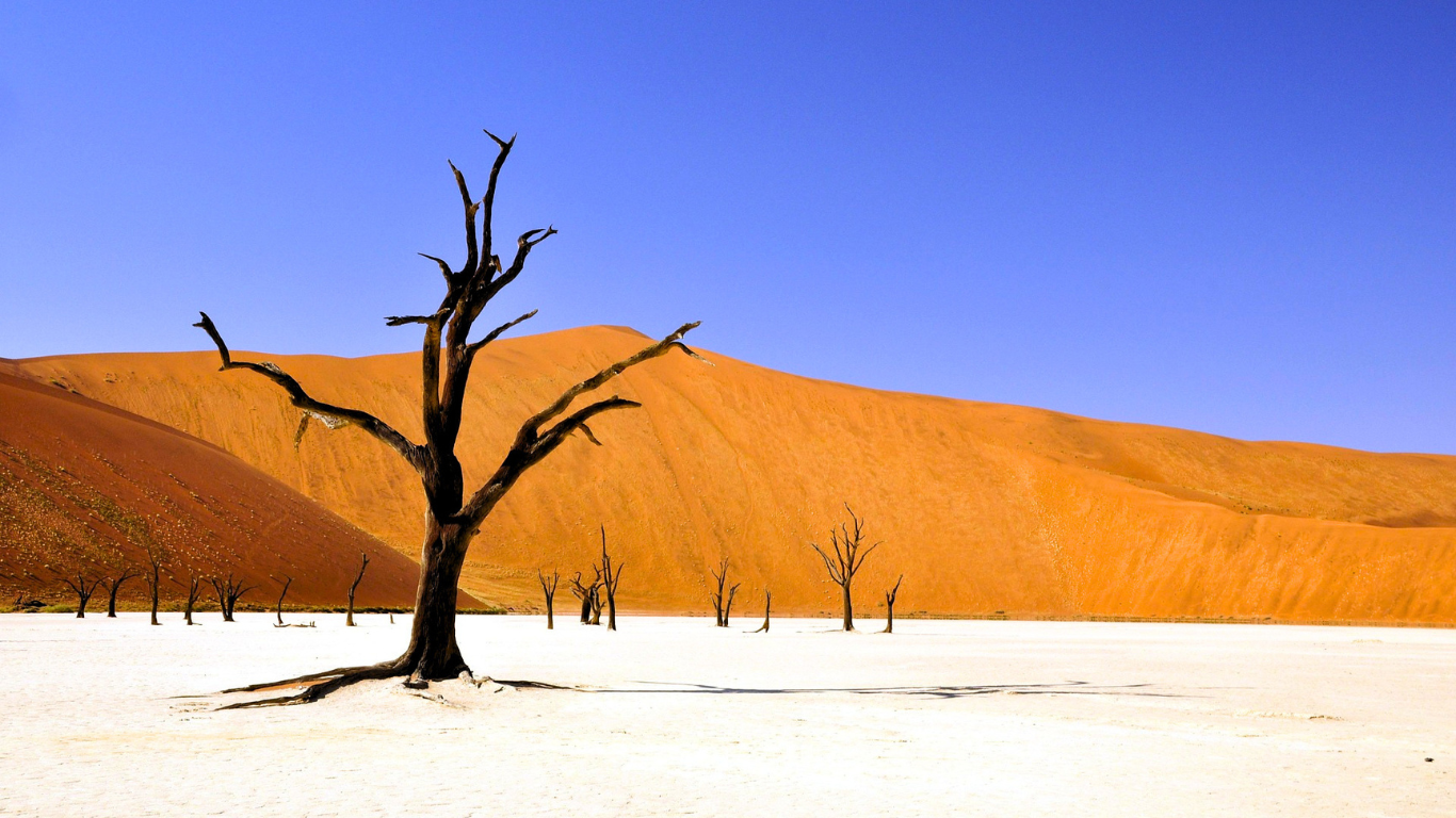 Dead Vlei: Il bosco sospeso nel tempo